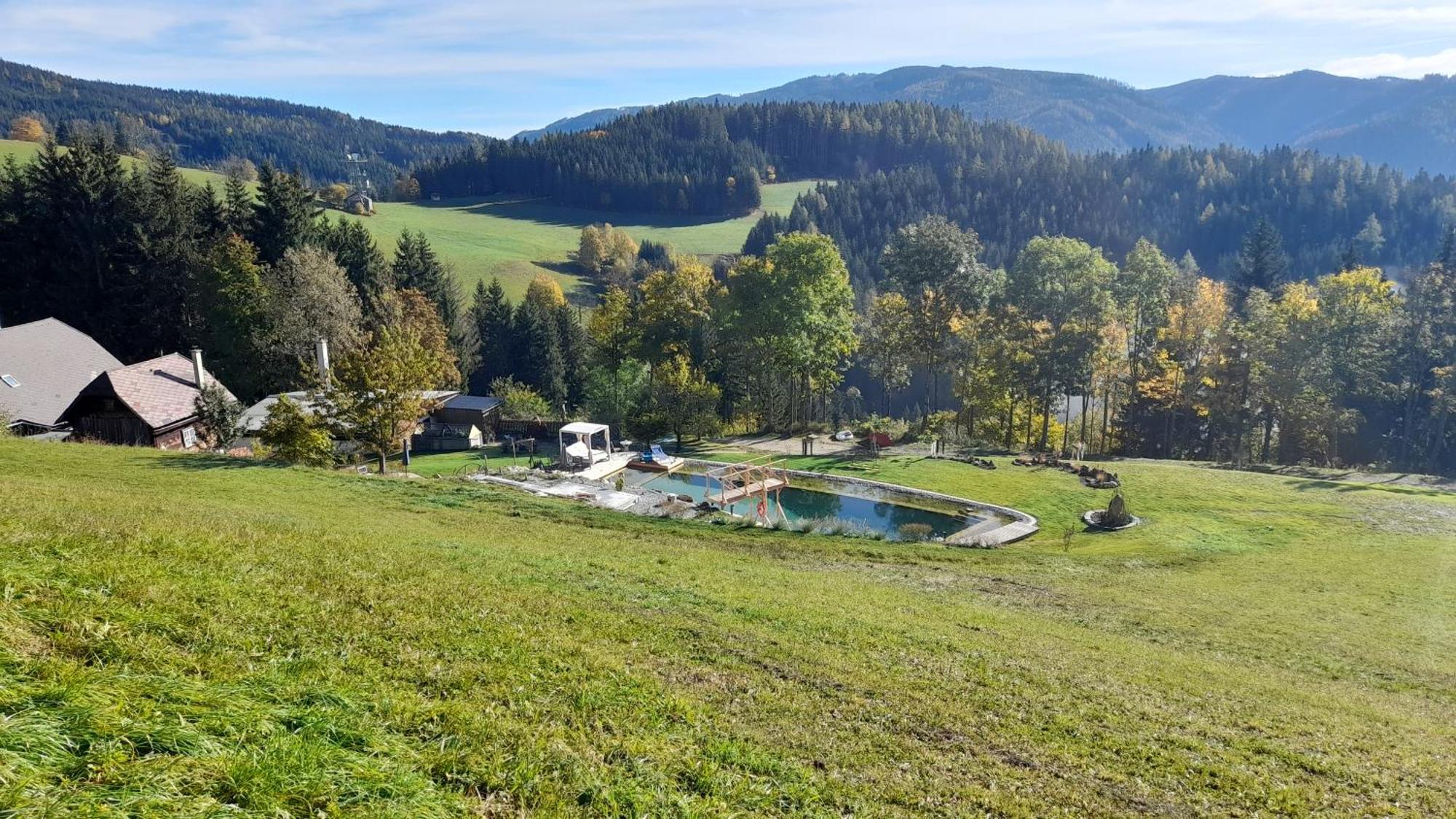 Turnau Ferienhaus Pliescherhof 빌라 외부 사진