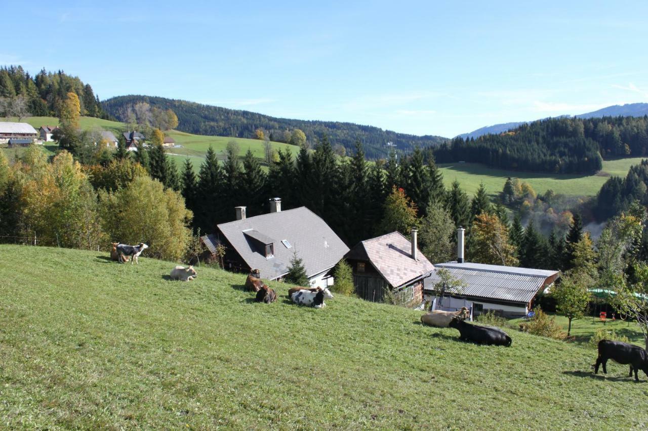 Turnau Ferienhaus Pliescherhof 빌라 외부 사진